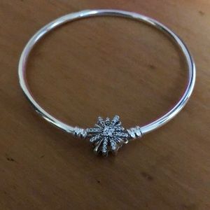 Pandora Limited Edition Bangle NWOT